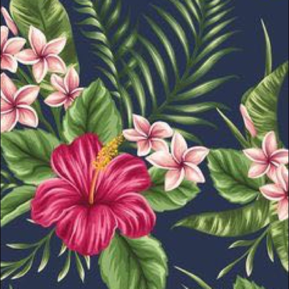 Meet your Posher, Viann